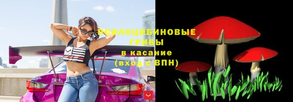 амф Абаза