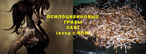 каннабис Алексеевка