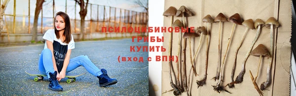 МДПВ Абинск