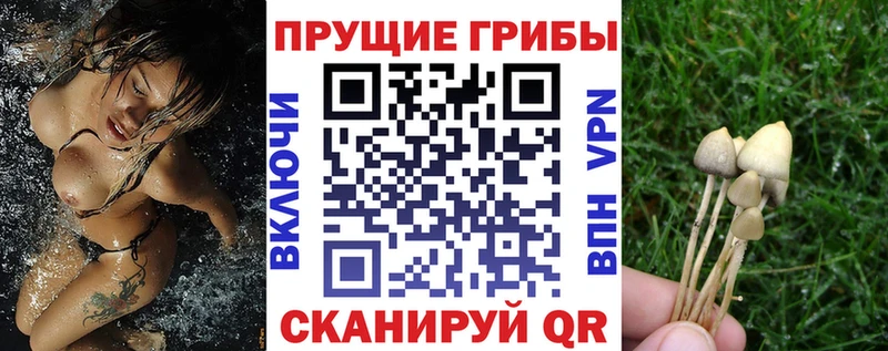 Галлюциногенные грибы Magic Shrooms  Фёдоровский 